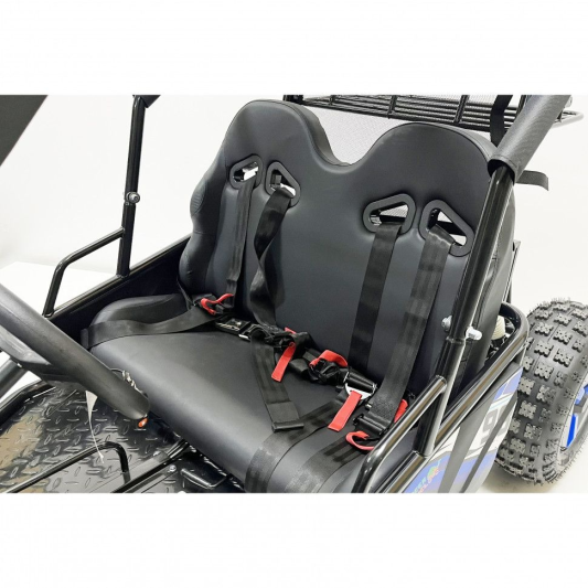 Багги GreenCamel Намиб T10 (60V 2000W R8 Дифф)