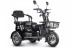 Электротрицикл Rutrike Бумеранг, черный